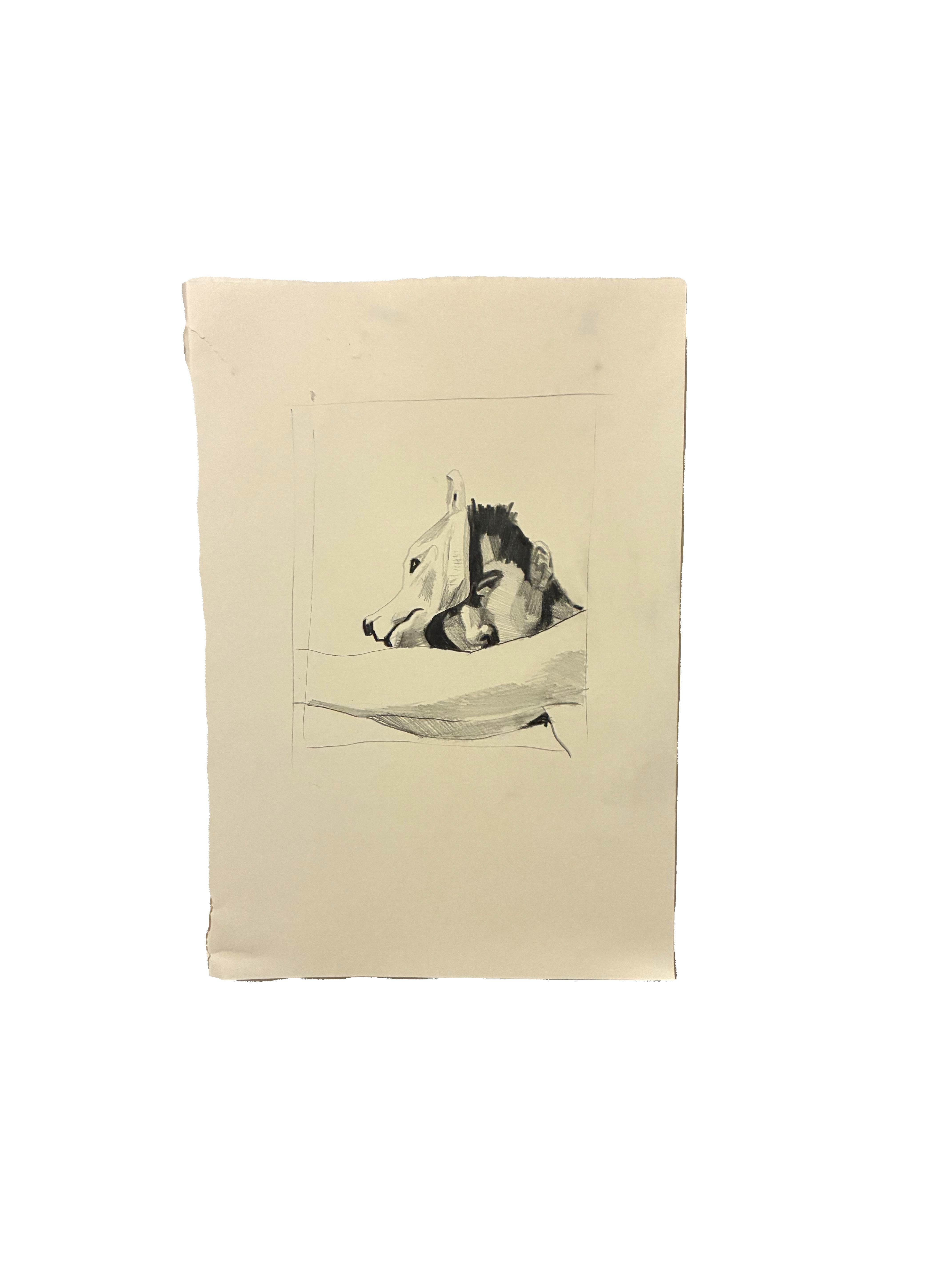 9021EE35-B0F7-423D-A55A-351D5FB18666