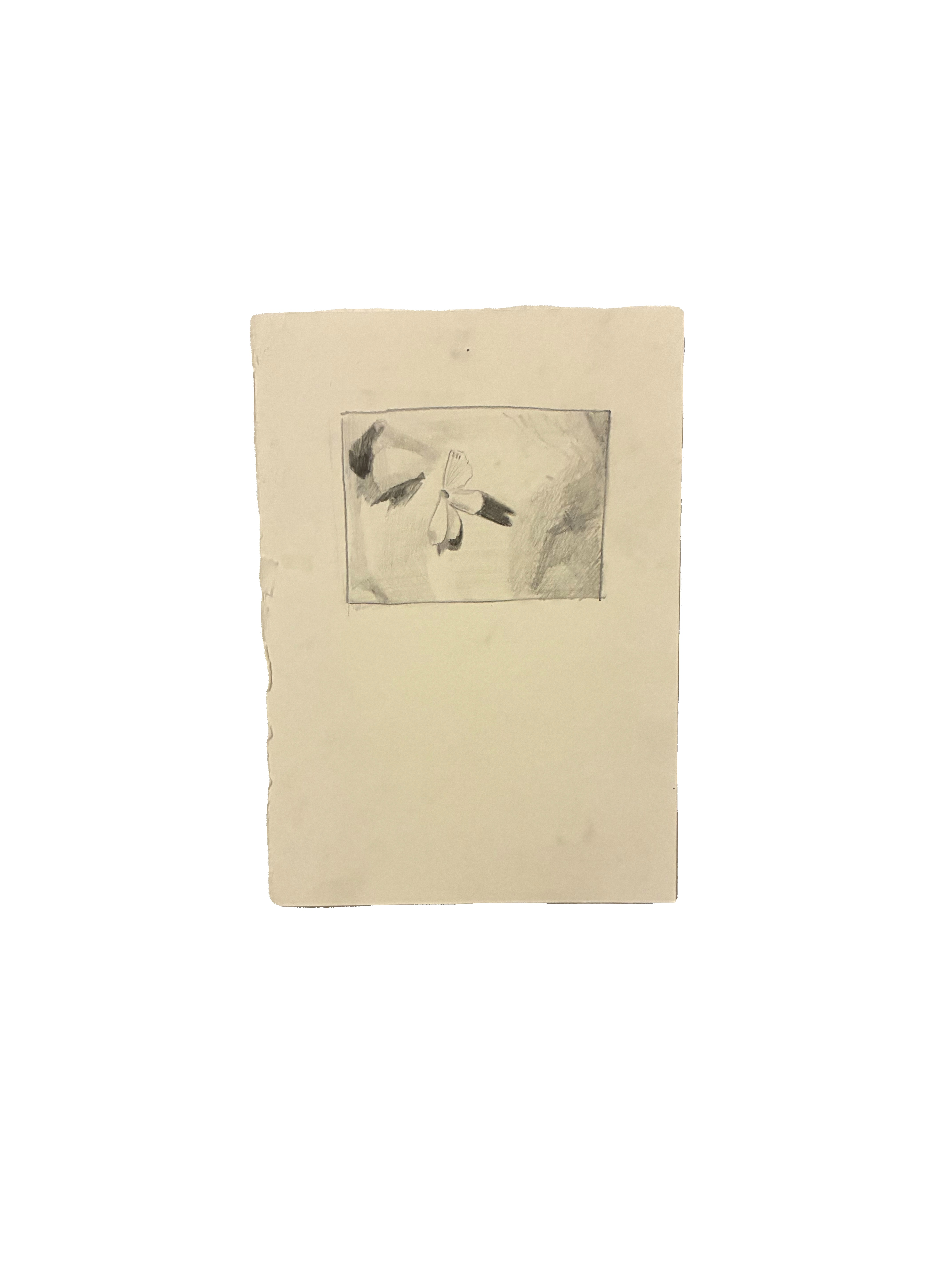 A47B8F96-FA19-4FB5-A4D6-BFF8C11A3060